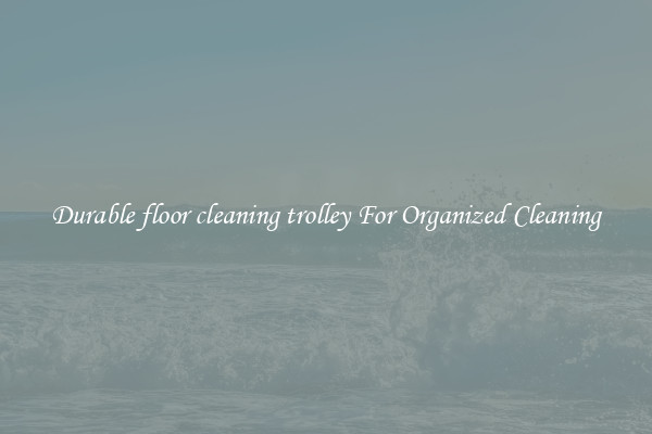 Durable floor cleaning trolley For Organized Cleaning