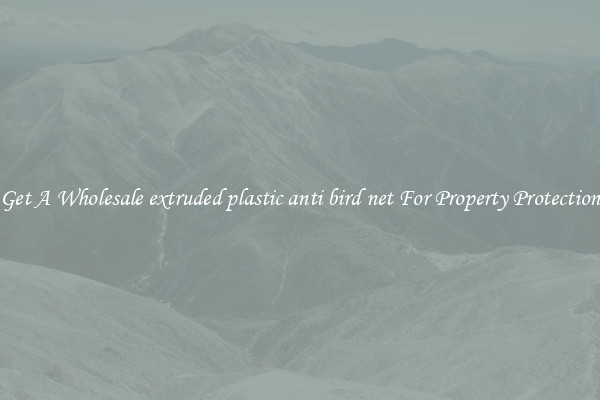 Get A Wholesale extruded plastic anti bird net For Property Protection
