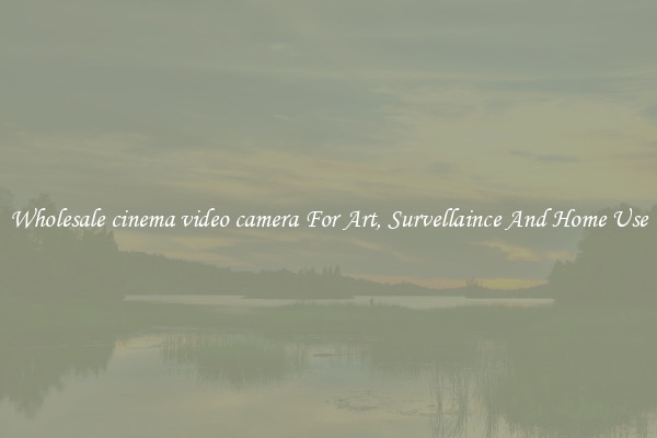 Wholesale cinema video camera For Art, Survellaince And Home Use