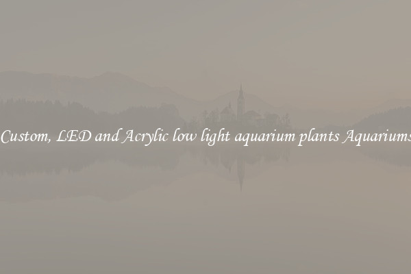 Custom, LED and Acrylic low light aquarium plants Aquariums