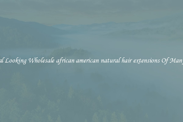 Natural Looking Wholesale african american natural hair extensions Of Many Types