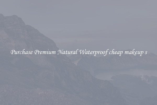 Purchase Premium Natural Waterproof cheap makeup s