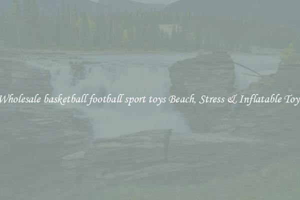 Wholesale basketball football sport toys Beach, Stress & Inflatable Toys