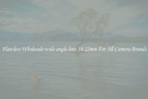 Flawless Wholesale wide angle lens 10 22mm For All Camera Brands