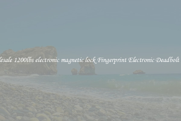 Wholesale 1200lbs electronic magnetic lock Fingerprint Electronic Deadbolt Door 