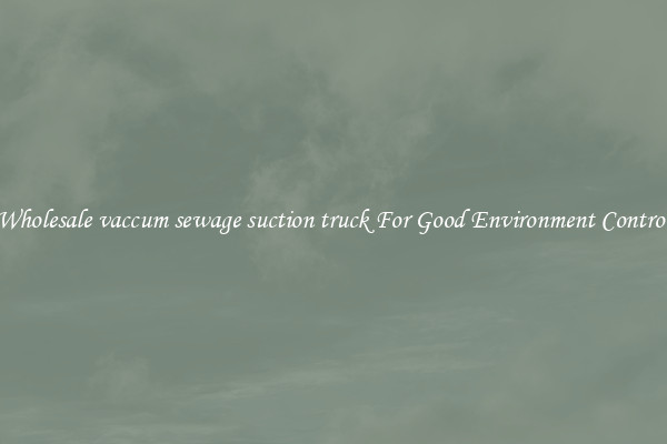 Wholesale vaccum sewage suction truck For Good Environment Control