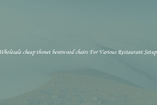 Wholesale cheap thonet bentwood chairs For Various Restaurant Setups