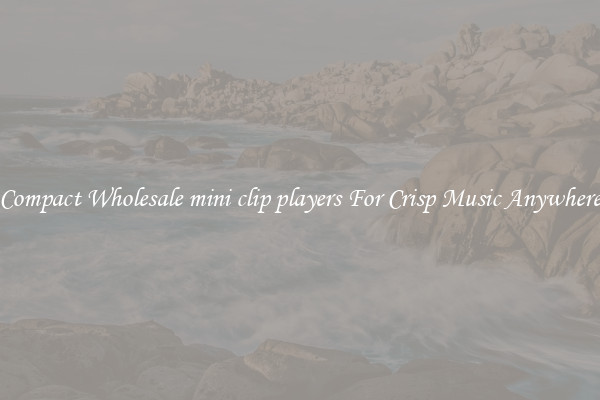 Compact Wholesale mini clip players For Crisp Music Anywhere