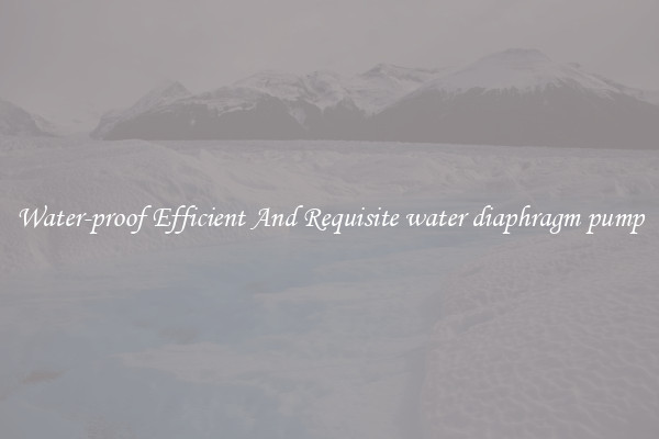 Water-proof Efficient And Requisite water diaphragm pump