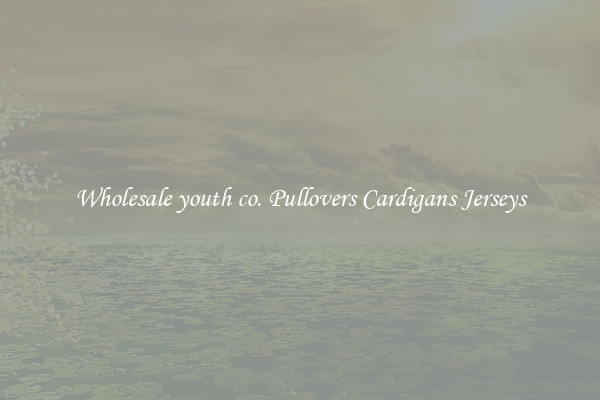 Wholesale youth co. Pullovers Cardigans Jerseys
