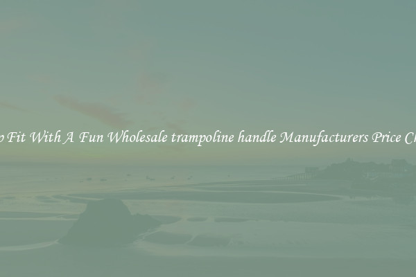 Keep Fit With A Fun Wholesale trampoline handle Manufacturers Price Cheap 