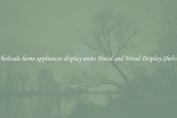 Wholesale home appliances display units Metal and Wood Display Shelves 