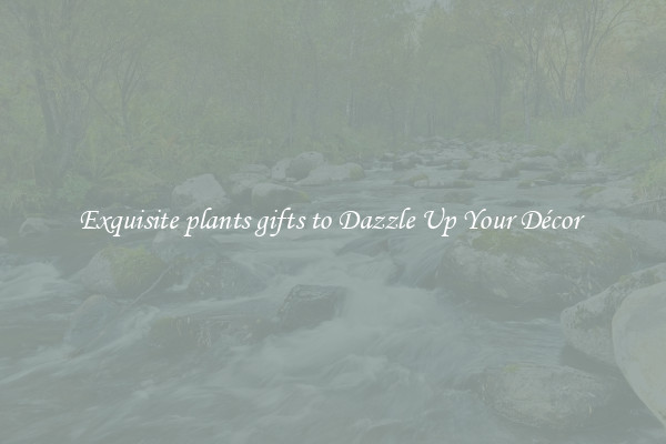 Exquisite plants gifts to Dazzle Up Your Décor 