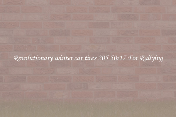 Revolutionary winter car tires 205 50r17 For Rallying