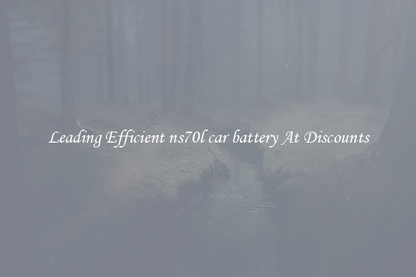 Leading Efficient ns70l car battery At Discounts