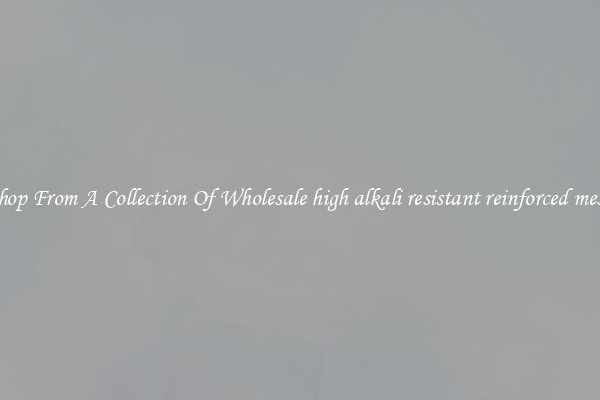 Shop From A Collection Of Wholesale high alkali resistant reinforced mesh