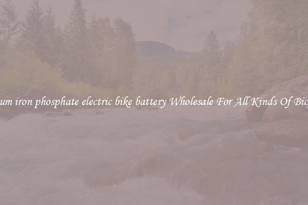 lithium iron phosphate electric bike battery Wholesale For All Kinds Of Bicycles