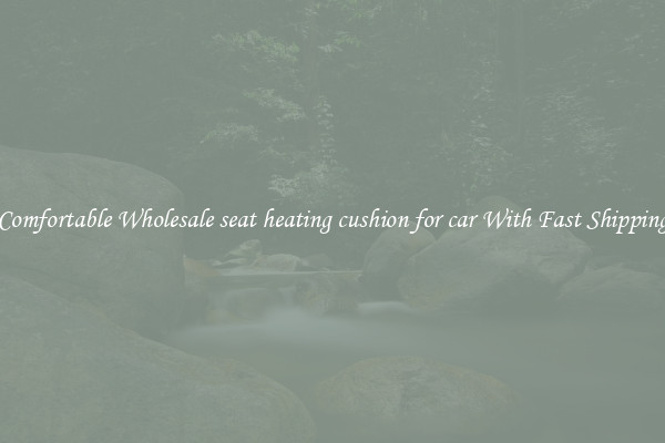 Comfortable Wholesale seat heating cushion for car With Fast Shipping
